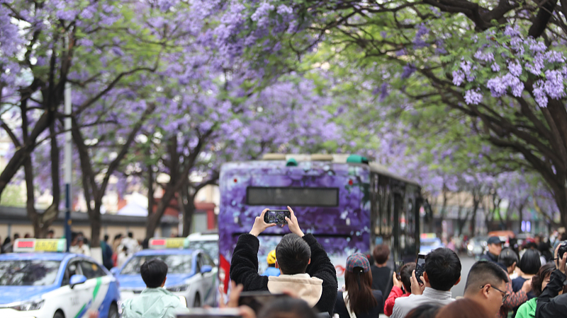 Crecen 114 ingresos de turismo doméstico chino entre enero y