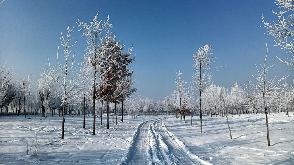 China Renueva La Alerta Por Bajas Temperaturas Al Intensificarse La Ola