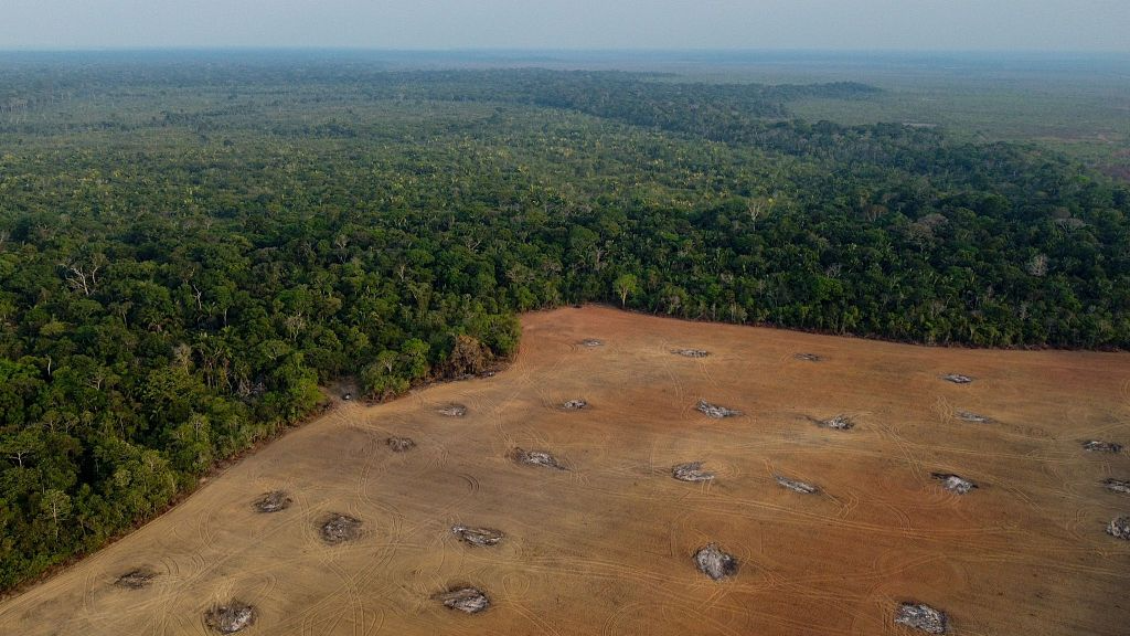 Deforestación En La Amazonía Brasileña Batió Récord En 2022 Con 10573 Kilómetros Cuadrados 