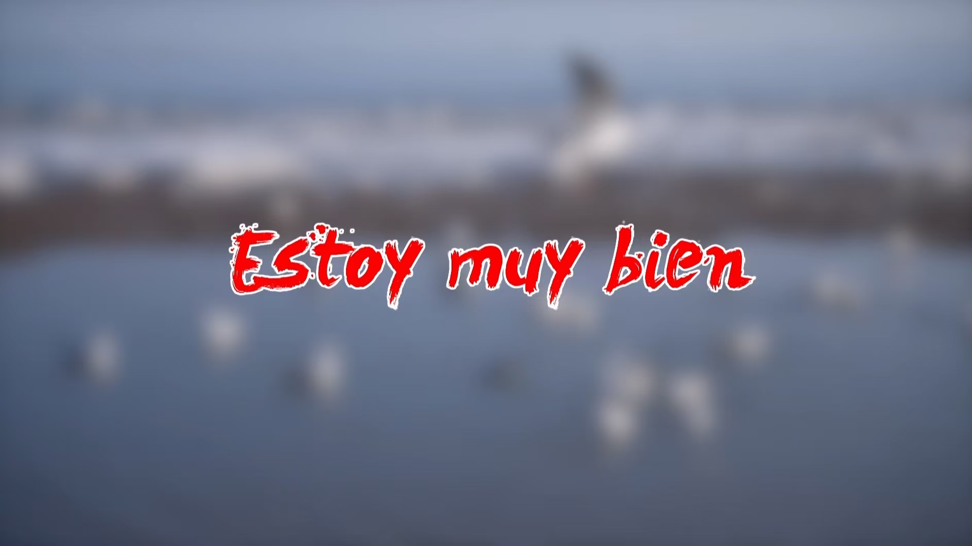Estoy muy bien - CGTN en Español
