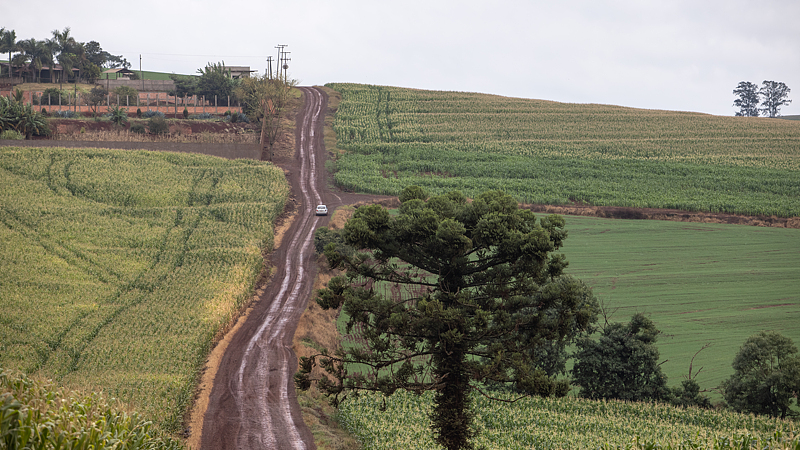 Brasil podría triplicar su energía renovable con cultivos en tierras degradadas, según estudio – CGTN en Español